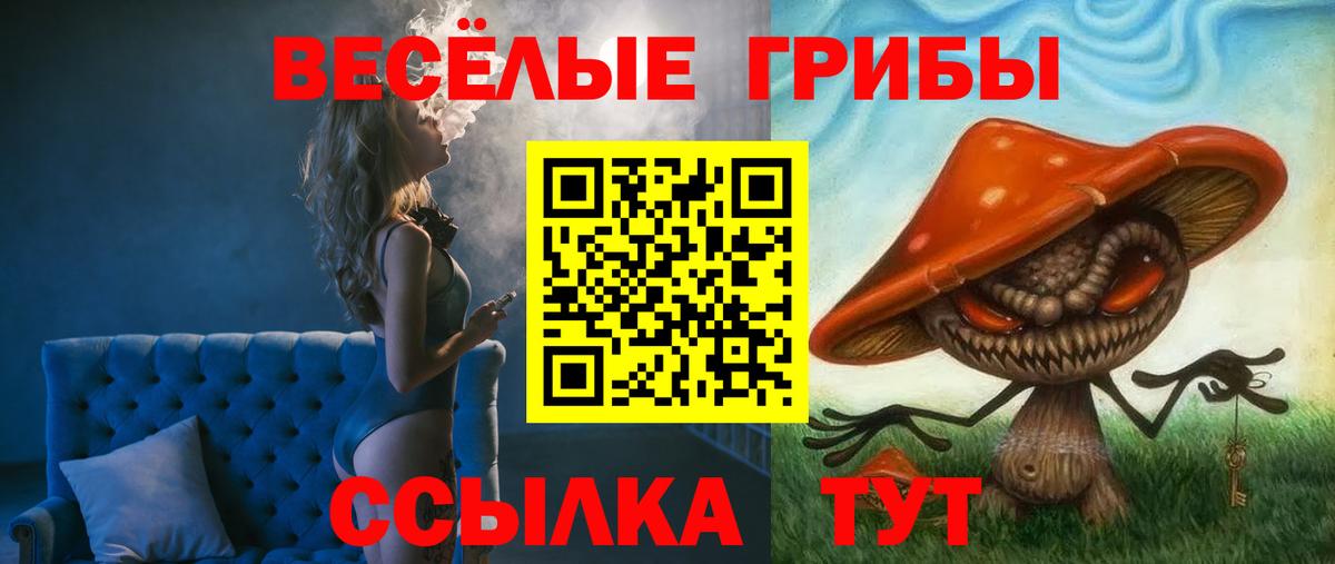 Великий Устюг  Псилоцибиновые грибы Psilocybe  Вход с VPN 
